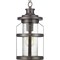Progress Lighting Haslett Collection One-Light Hanging Lantern P550031-103 - alternate 1